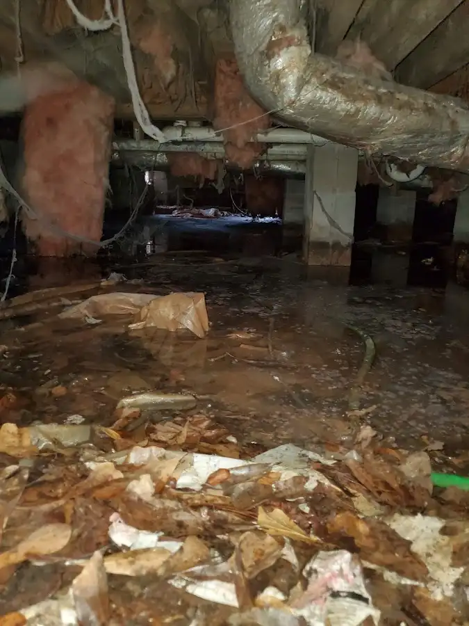 Crawl space flood assessment for Leak Detection & Repair in Angola